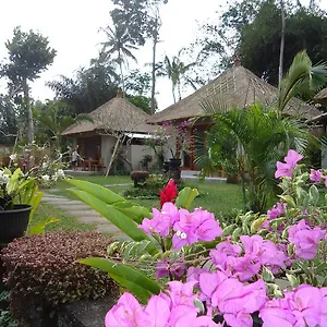 3* Bed & Breakfast Suka's House